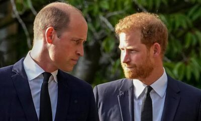 Prince Harry Receives Stern Warning as Divisions with Royal Family Deepen, Michael Cole Asserts